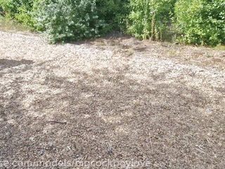 A random femboy strokes my beef whistle and slurps my jizz in a park