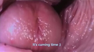 Journey to the inwards of the Pussy