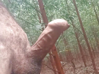 Jerking Off In The Woods