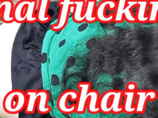 Indian cougar smashed on a yam-sized Chair