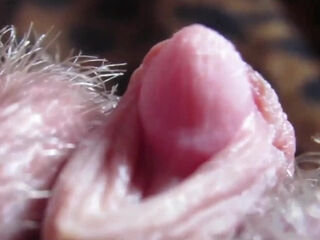 Big clittie Teasing & Real raw Clitoral climax In titillating Close-up