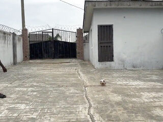 Hot Africa Football Bareback